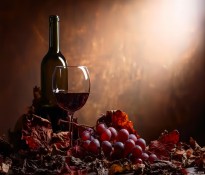 2025Ї(gu)tИI(y)ȫ(bo)ƤtИI(y)I(yng)Nλ-tИI(y)ԃ-ɶԃ˾