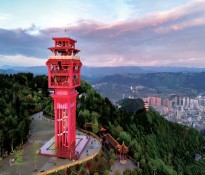 _I(y)λʮ塱Ҏ(gu)Ʒָ(do)hʮҎ(gu)-I(y)λʮҎ(gu)